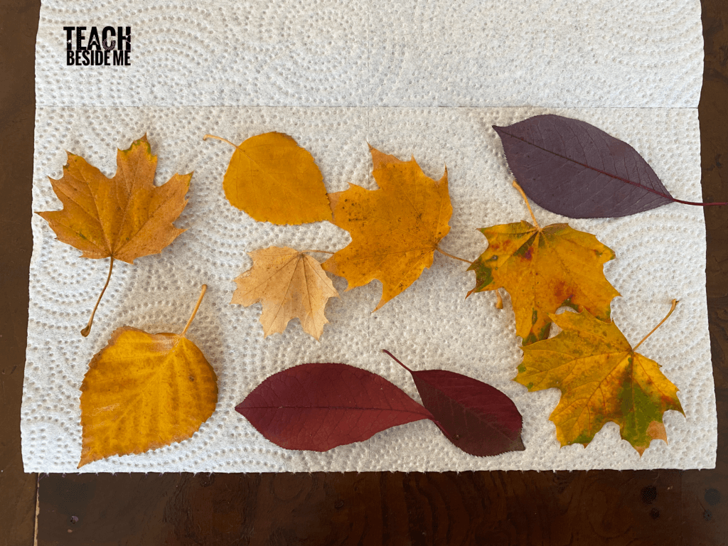 fall leaf crafts