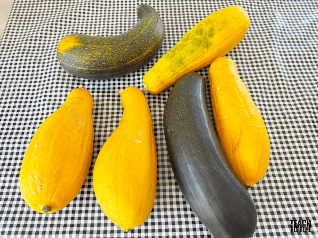 lots of squash