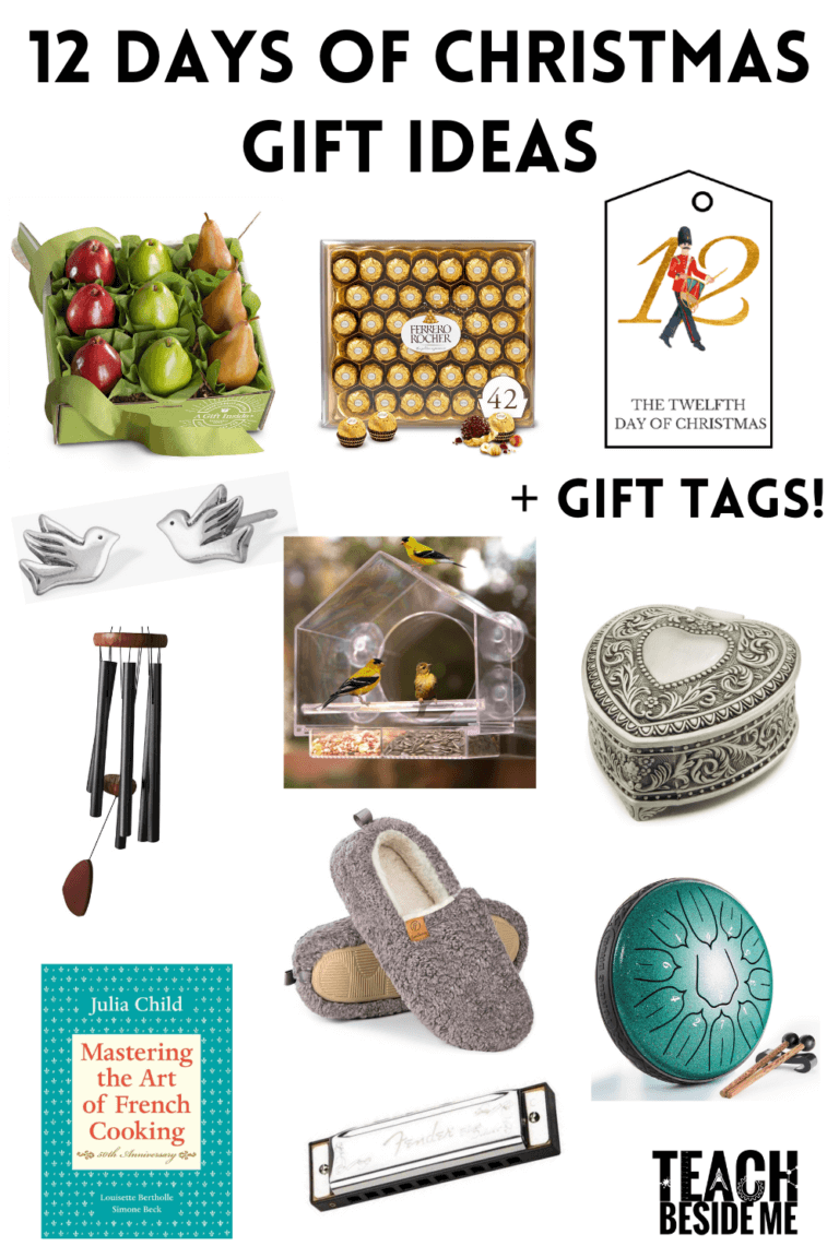 12 days of christmas gift ideas