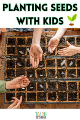 planting seeds with kids