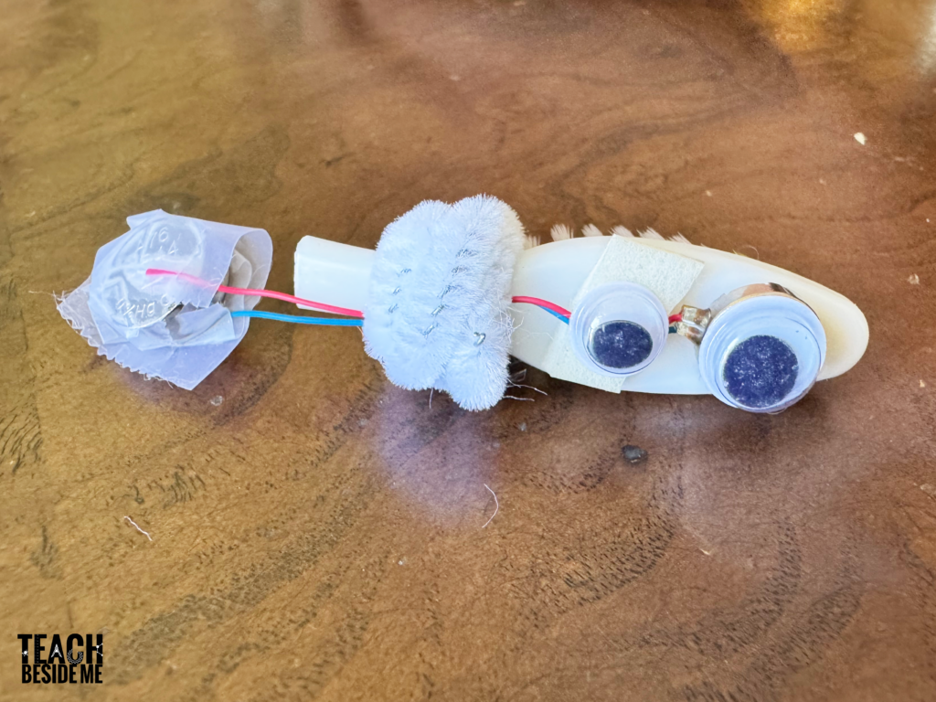 making a bristle bot STEM project