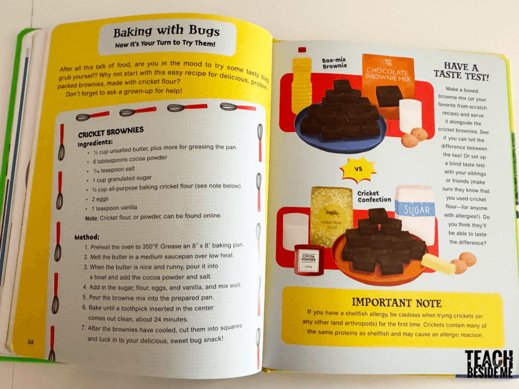 cricket flour brownies recipe