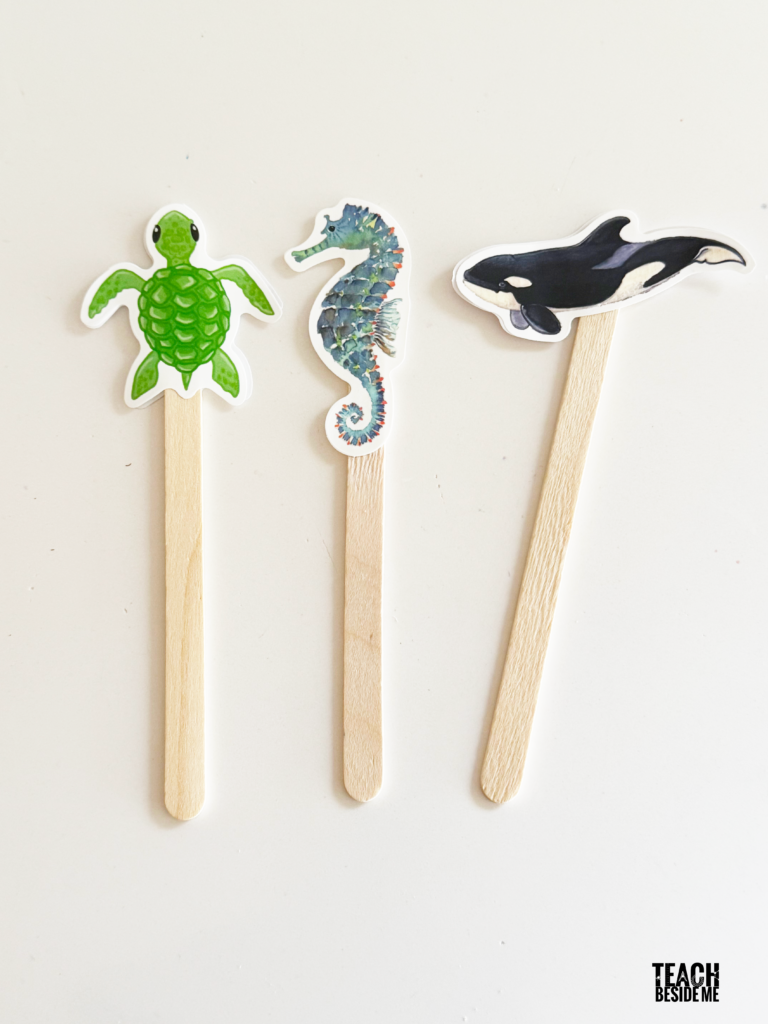 aquarium ocean craft