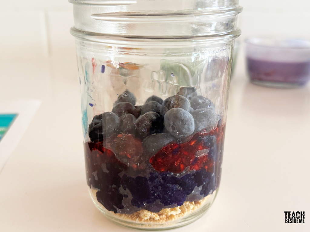 ocean layers snack with berries