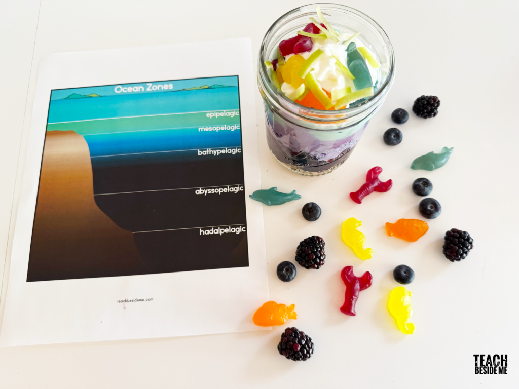 ocean zones snack and diagram for kids