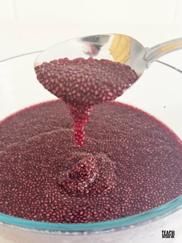 grape chia slime recipe