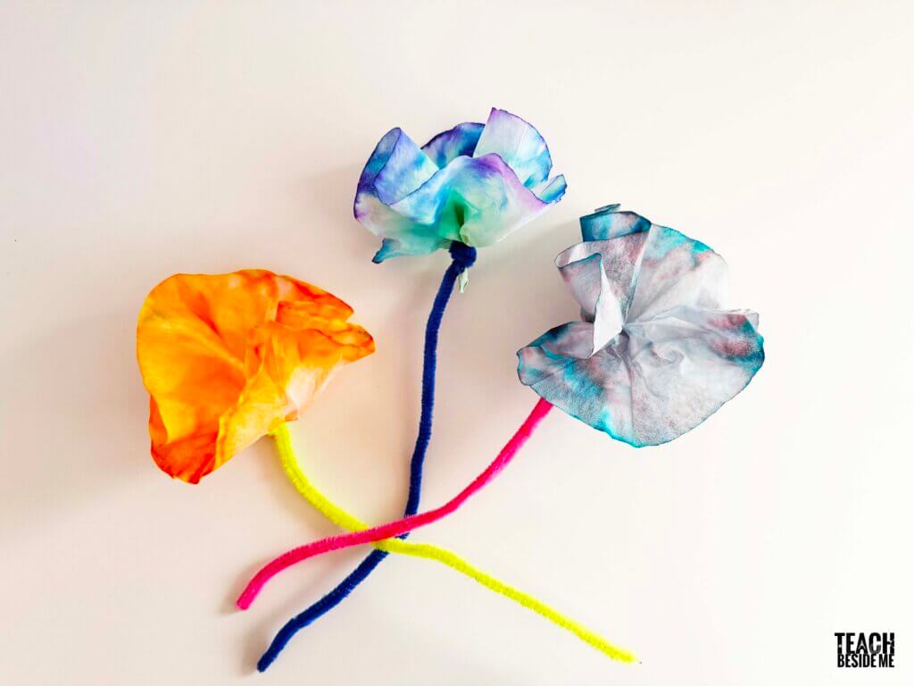 chromatography coffee filter flowers