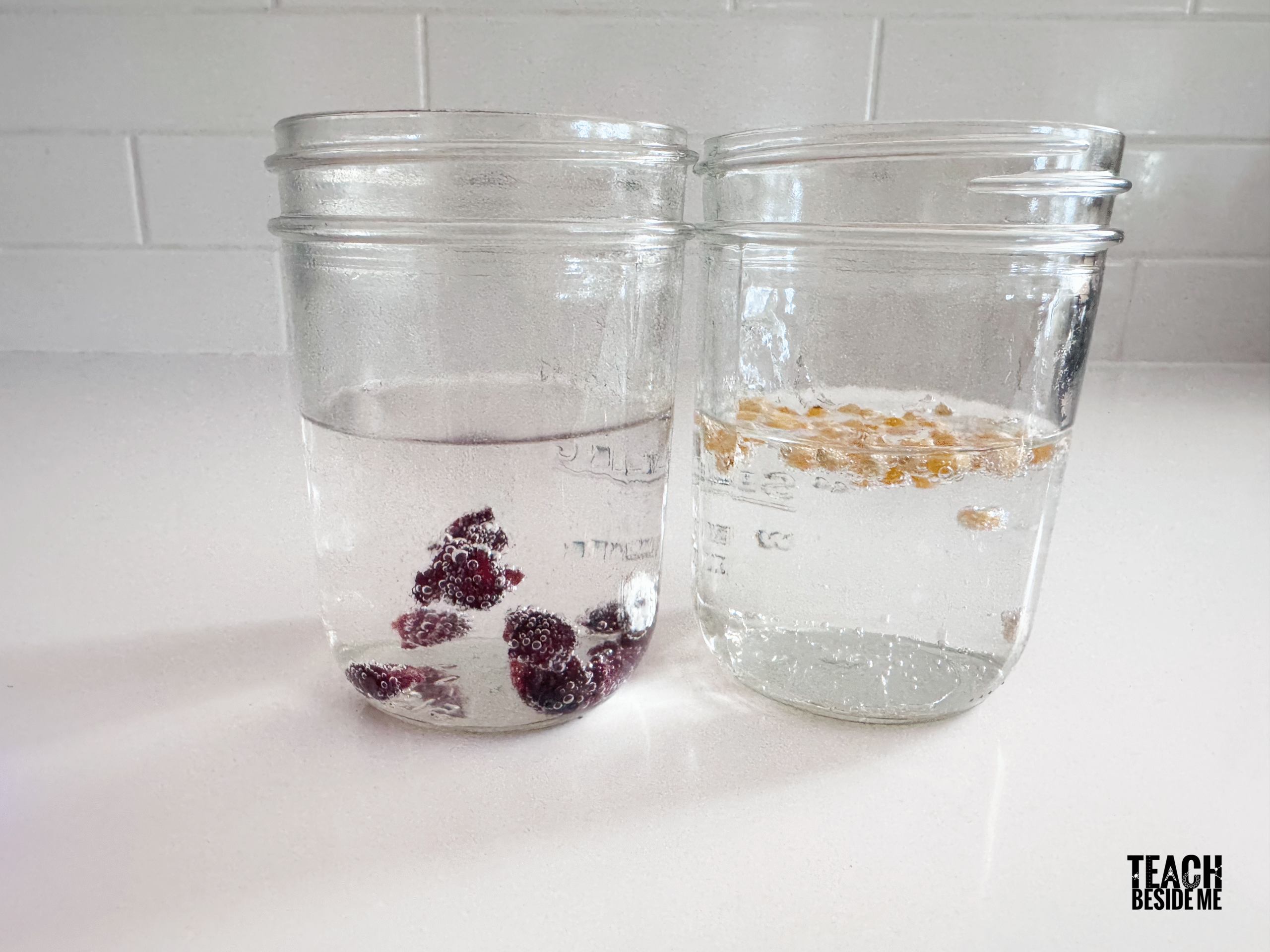 dancing cranberries and popcorn experiment
