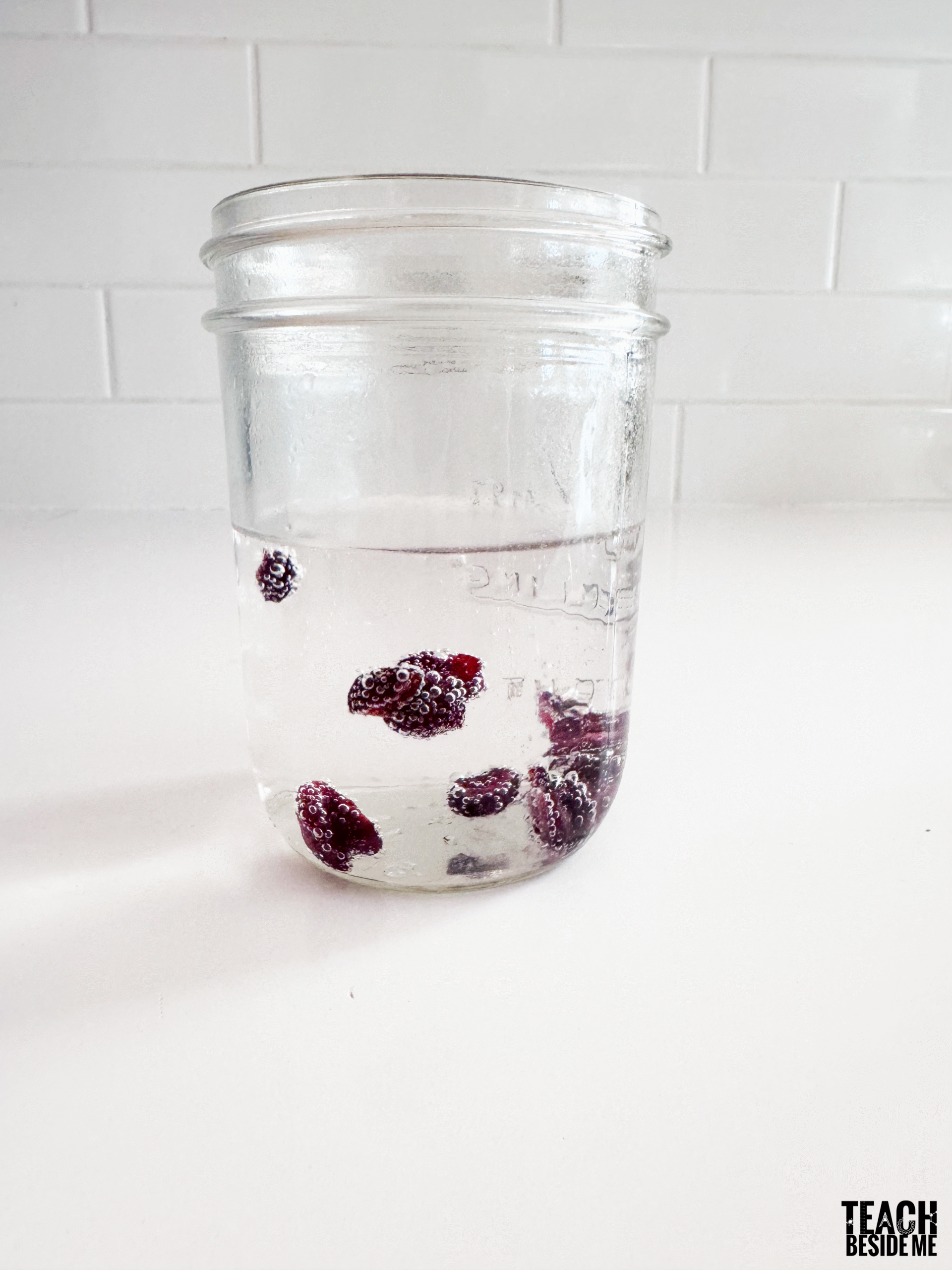 dancing cranberries experiment