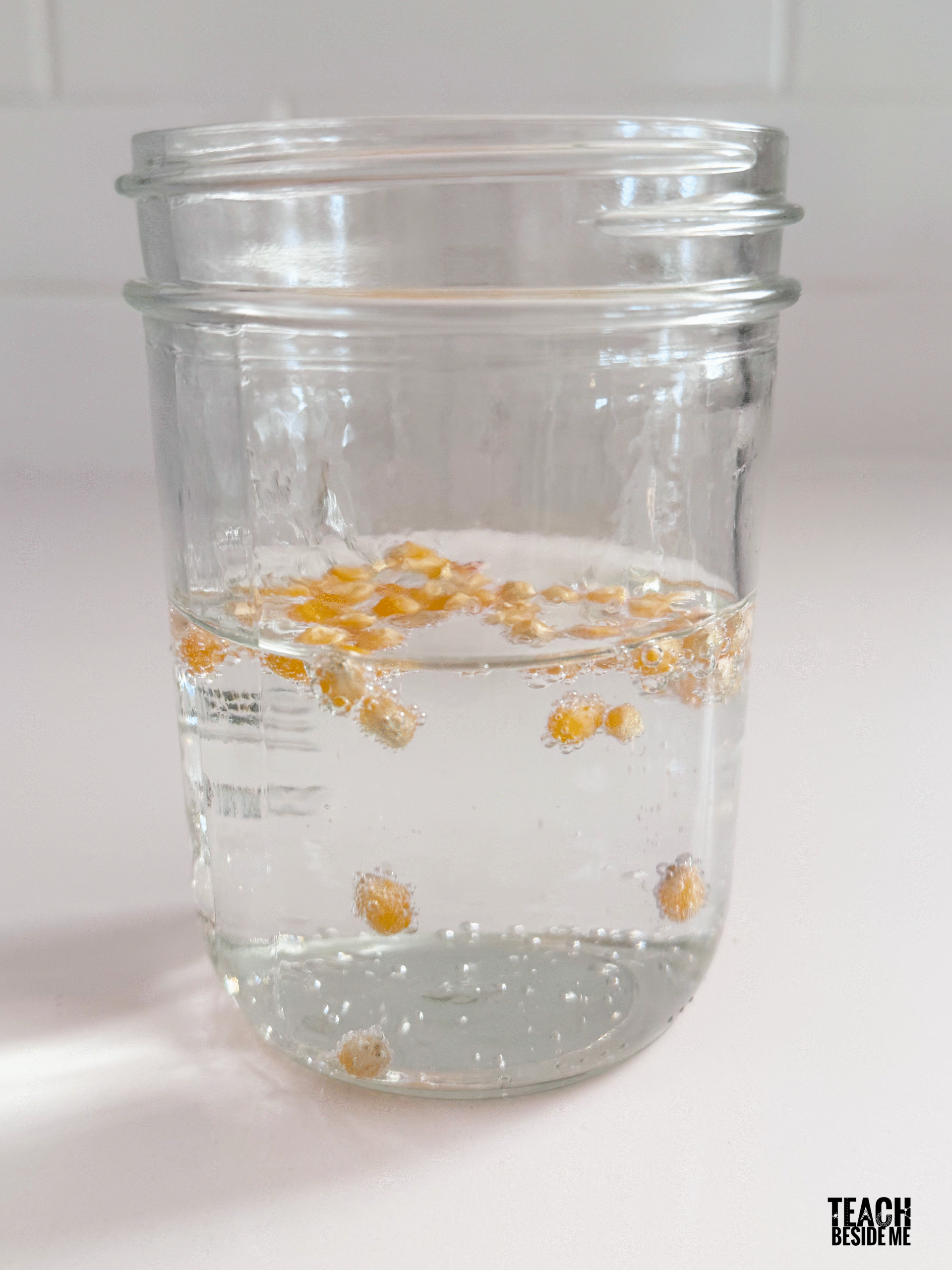 dancing popcorn experiment