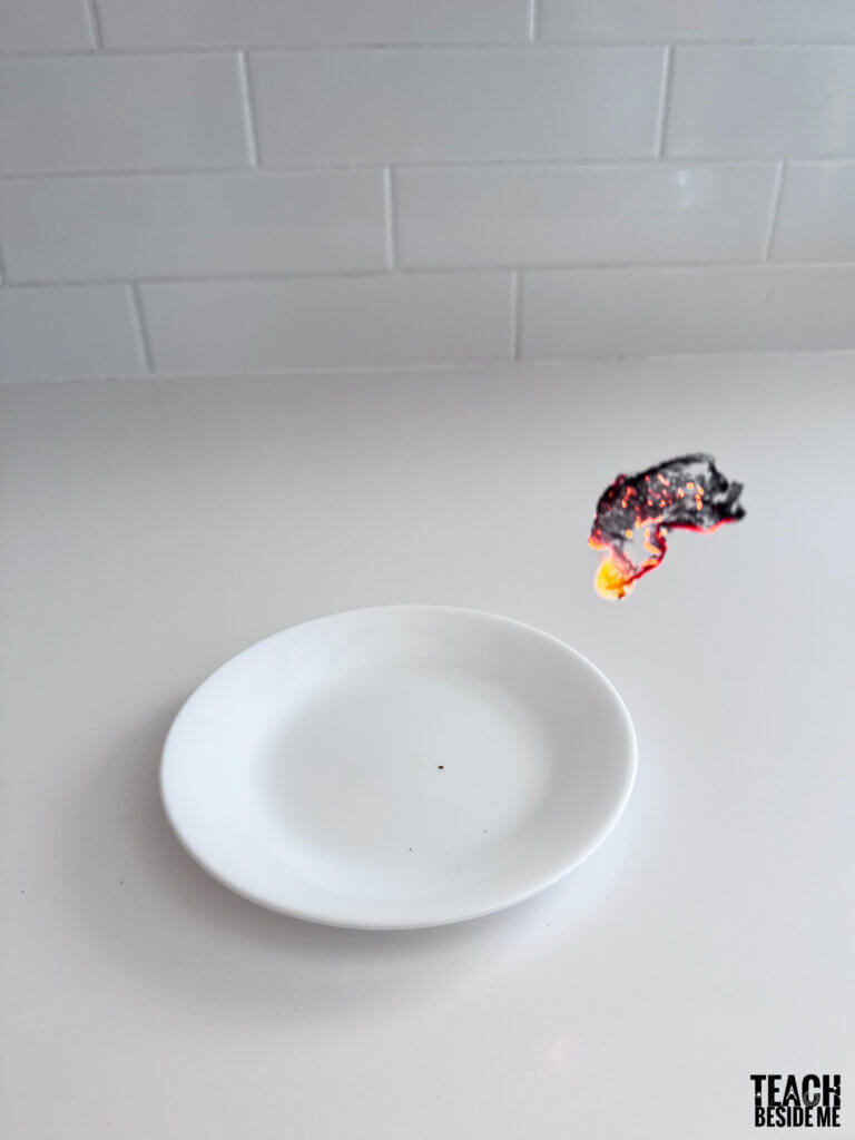 floating tea bag rocket