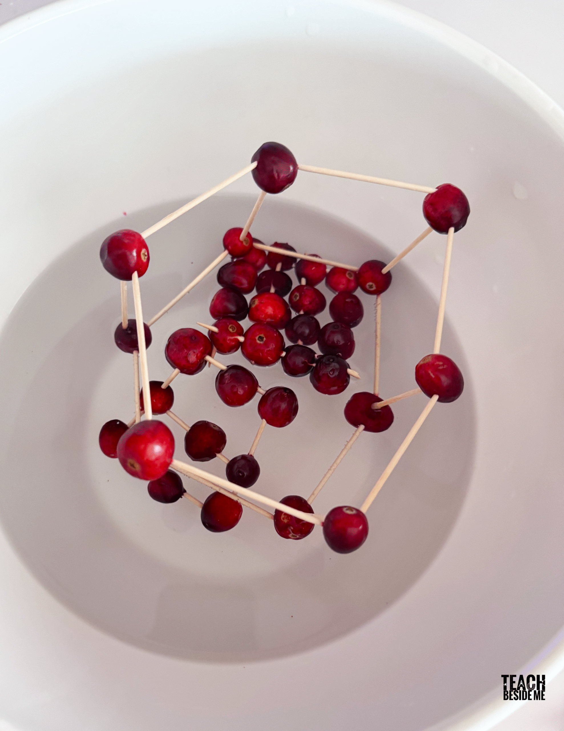 cranberry rafts STEM activity