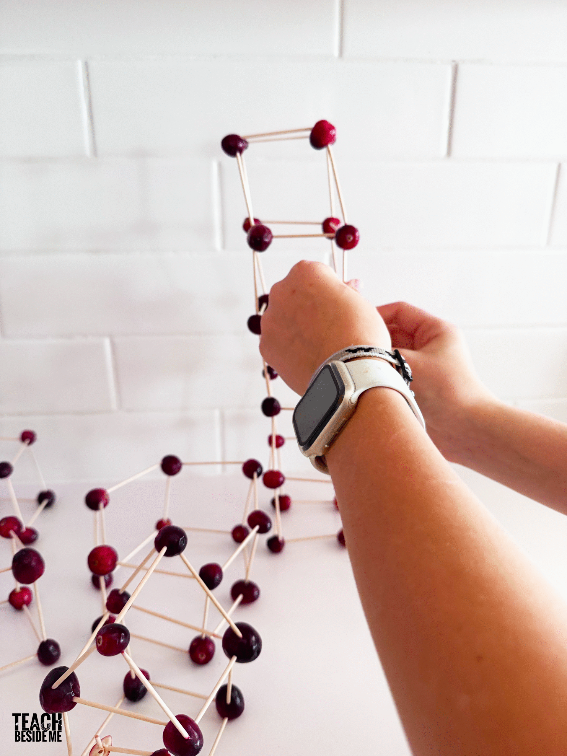 cranberry toothpick towers STEM