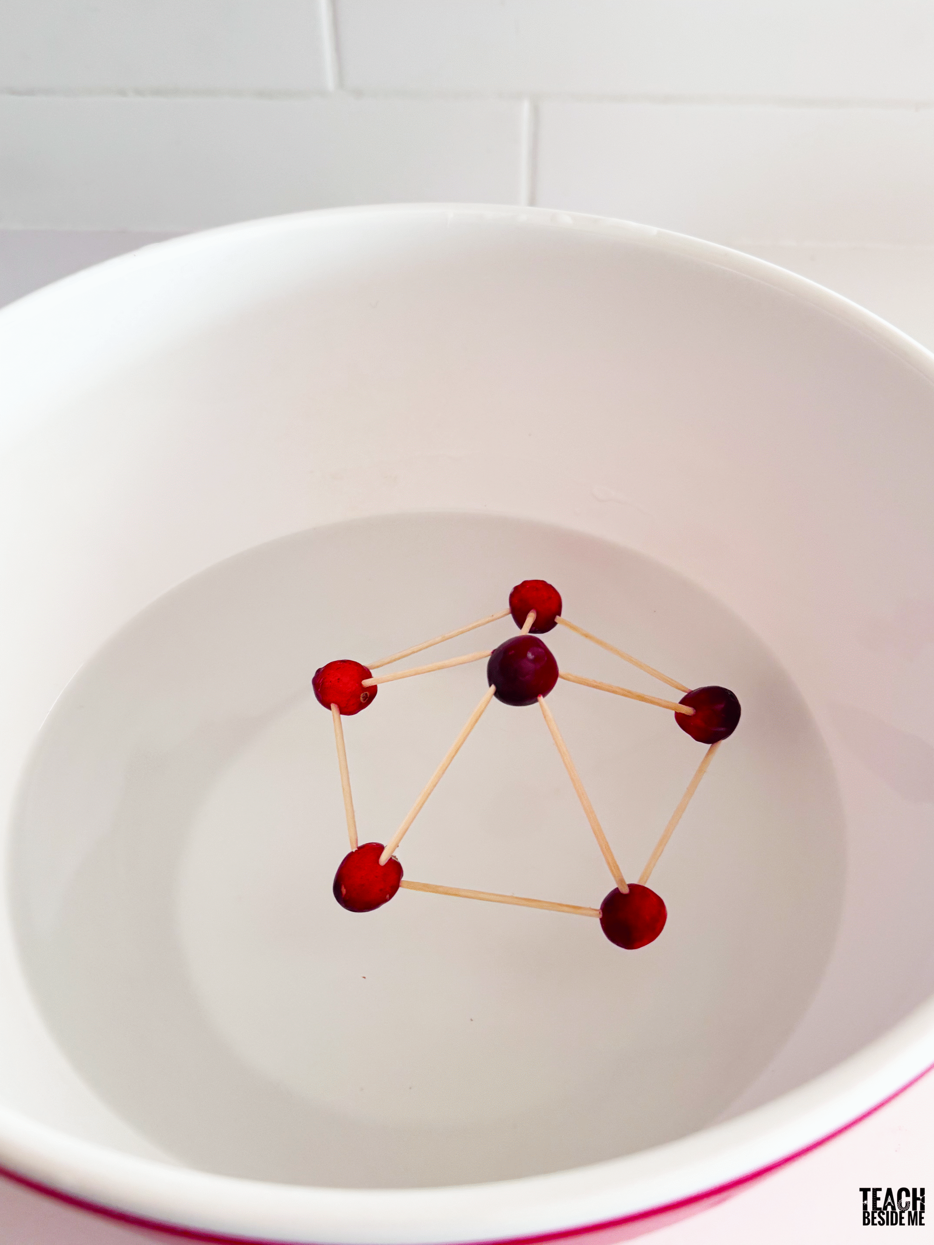floating cranberry structures STEM