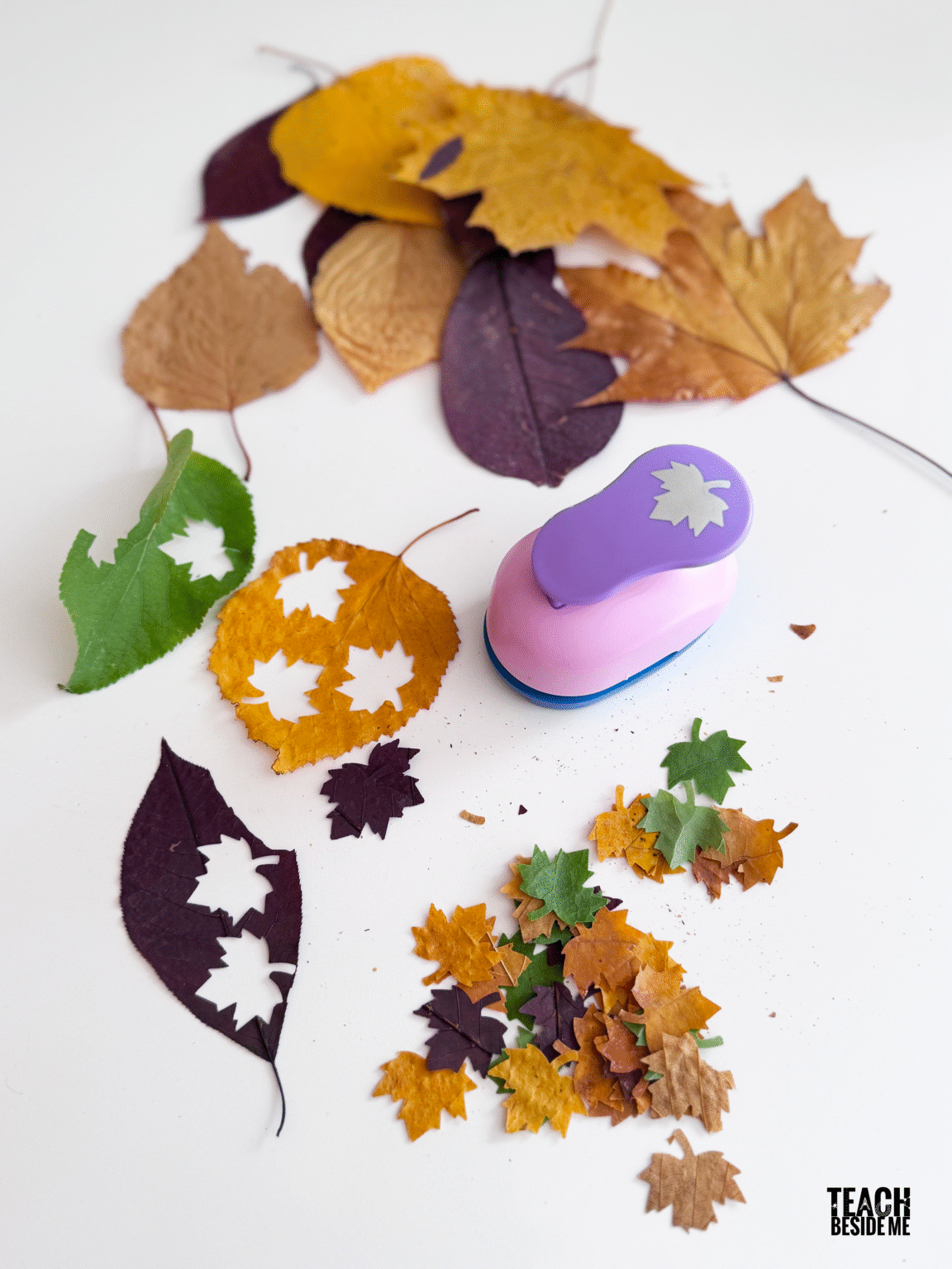 How to Make an Autumn Leaf Snow Globe - Teach Beside Me