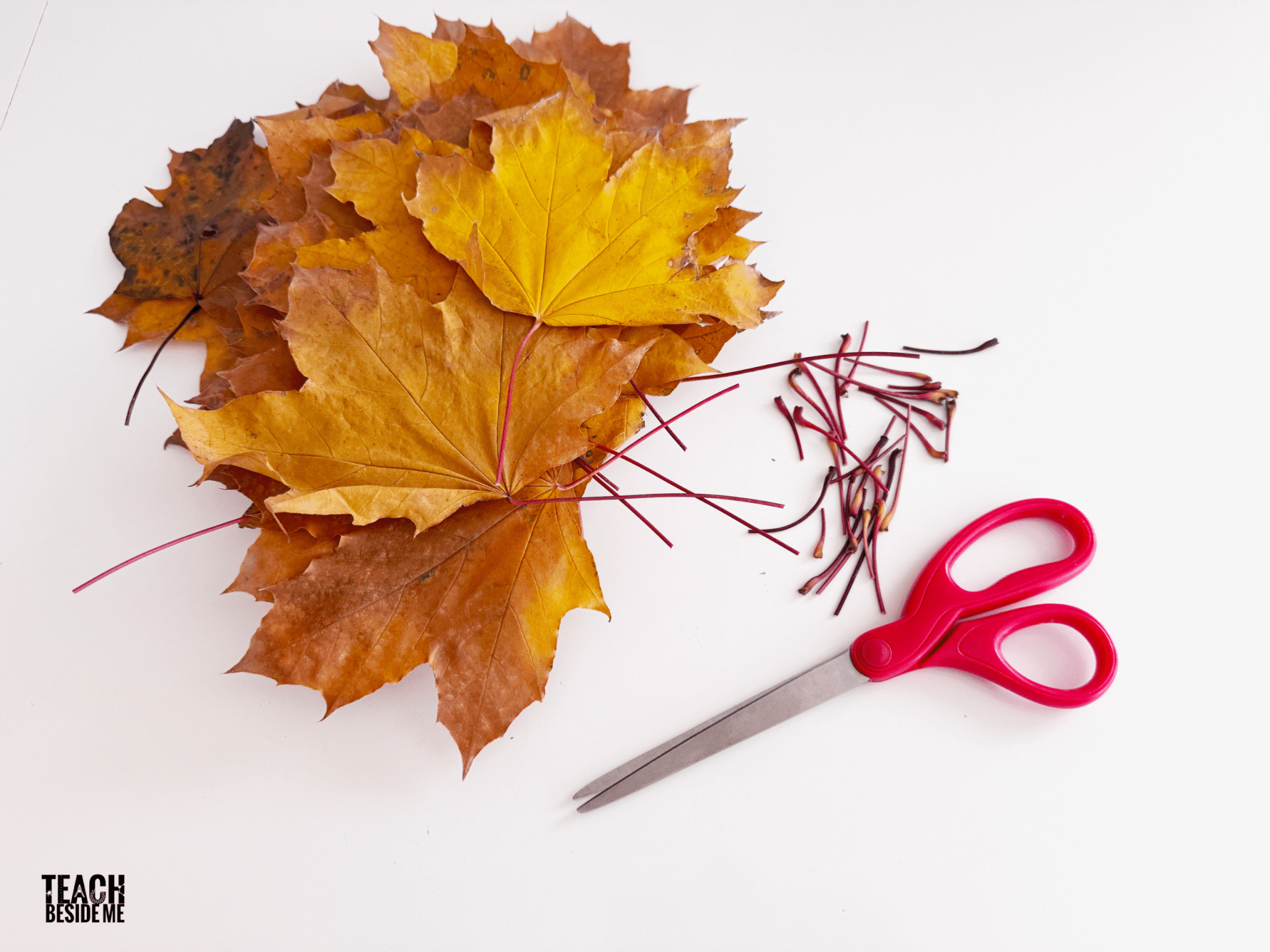 prepping leaves for leaf crown craft