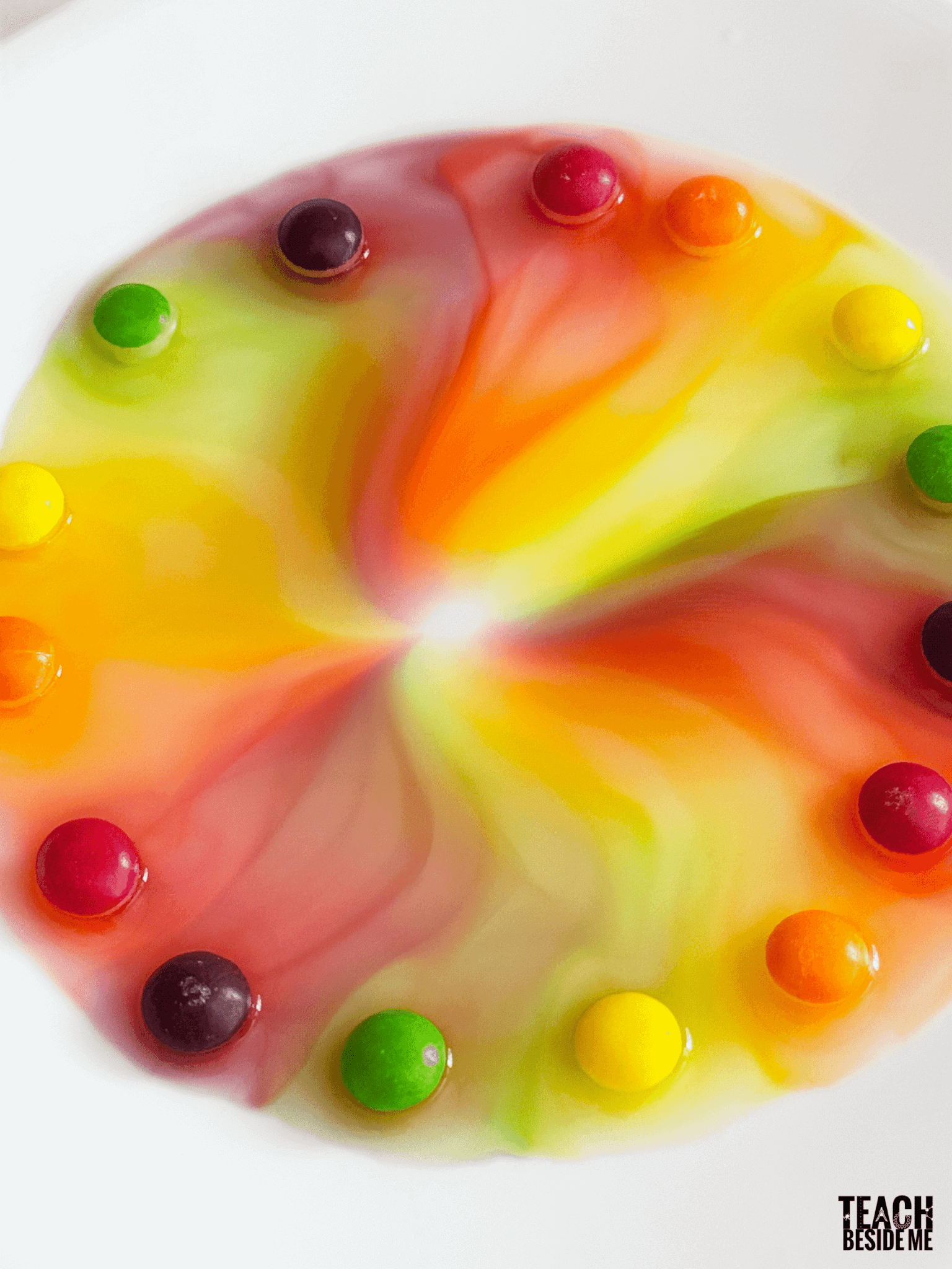 skittles science experiment