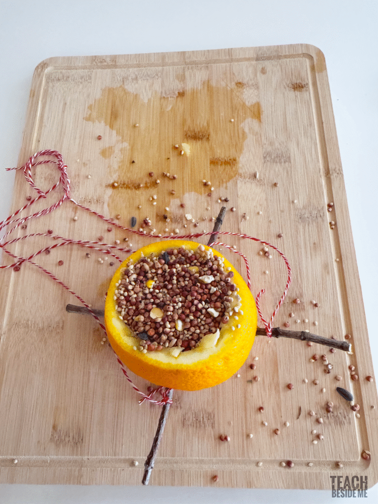 how to make a bird feeder from an orange