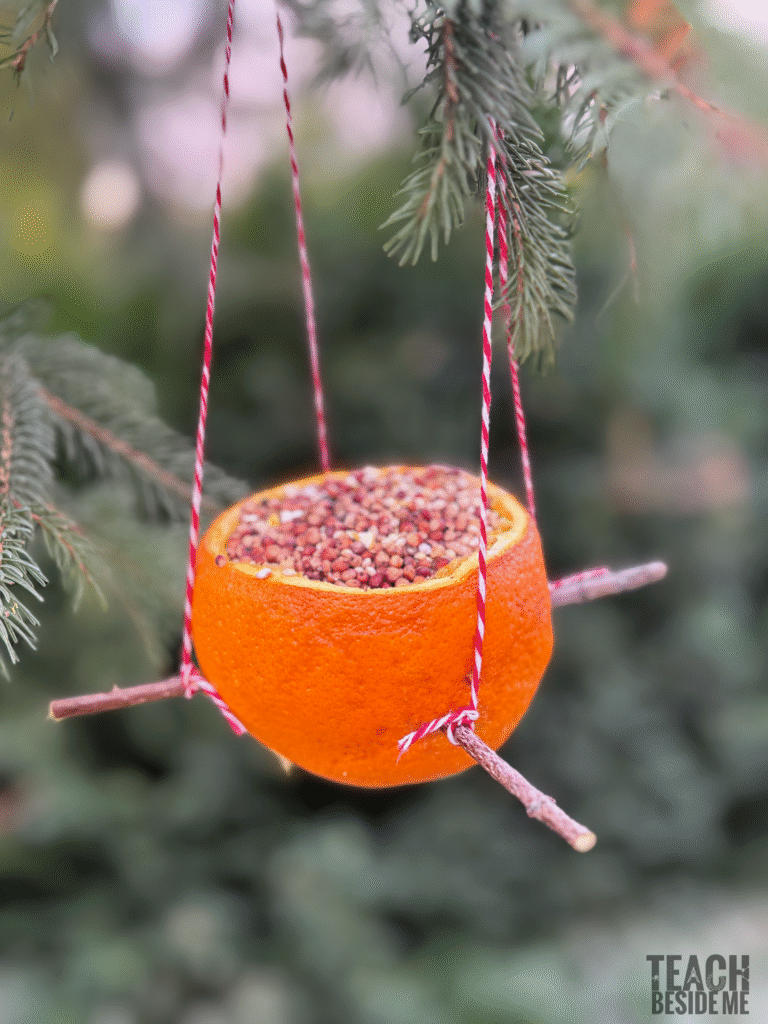 orange bird feeder nature craft for kids