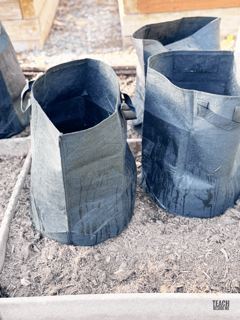 grow potato in bags