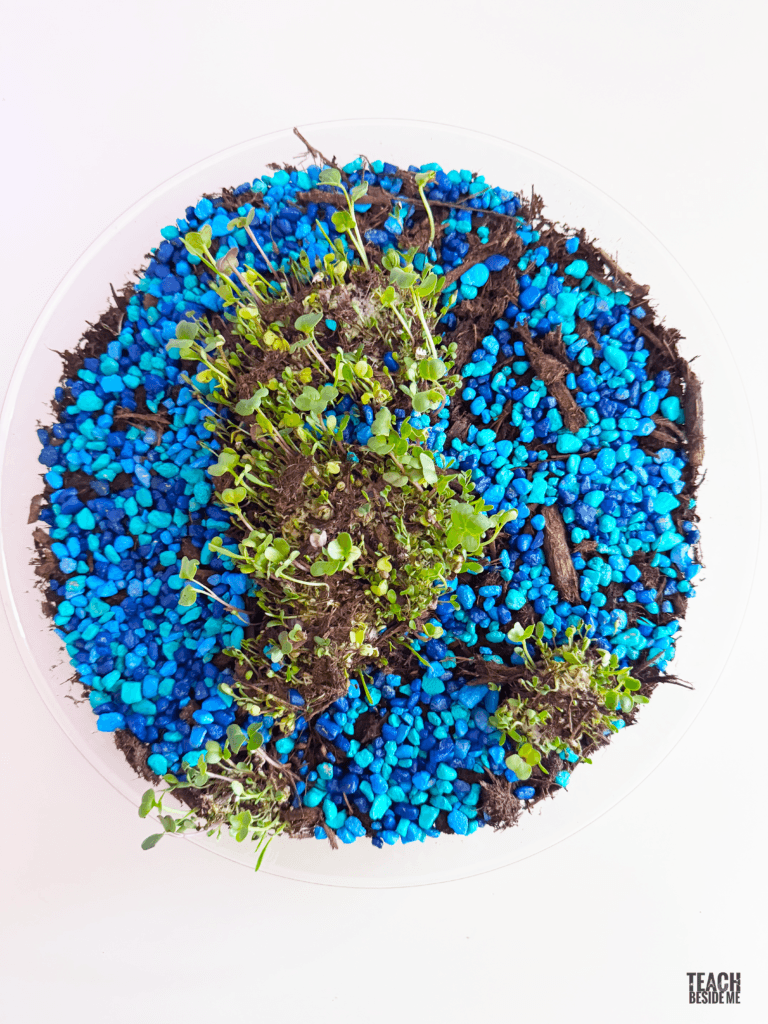 grow the earth finished