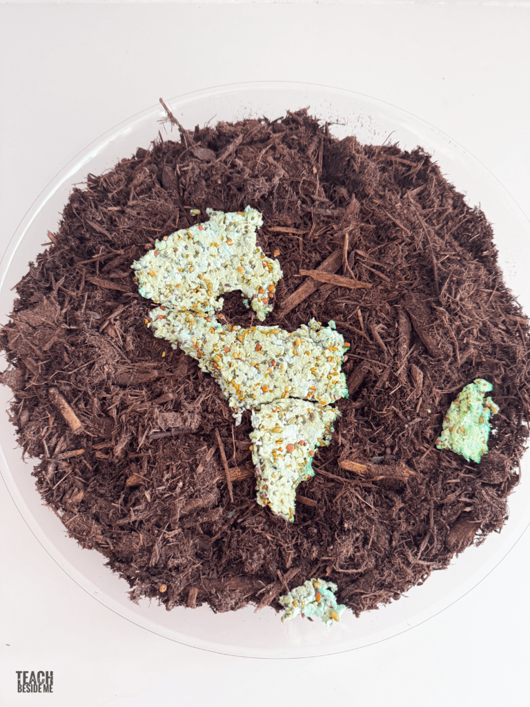 grow the earth seed paper