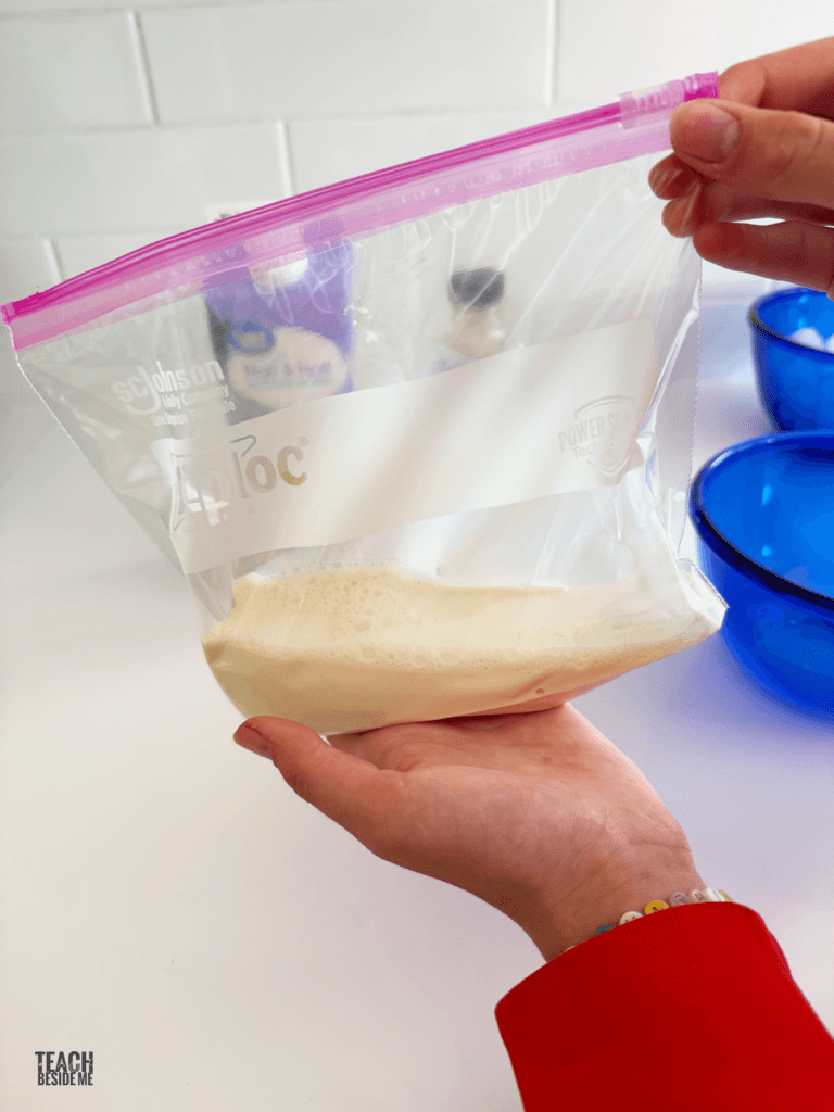 ice cream in a bag experiment