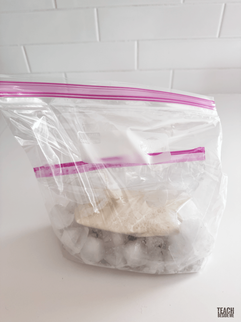 making ice cream in a bag summer science