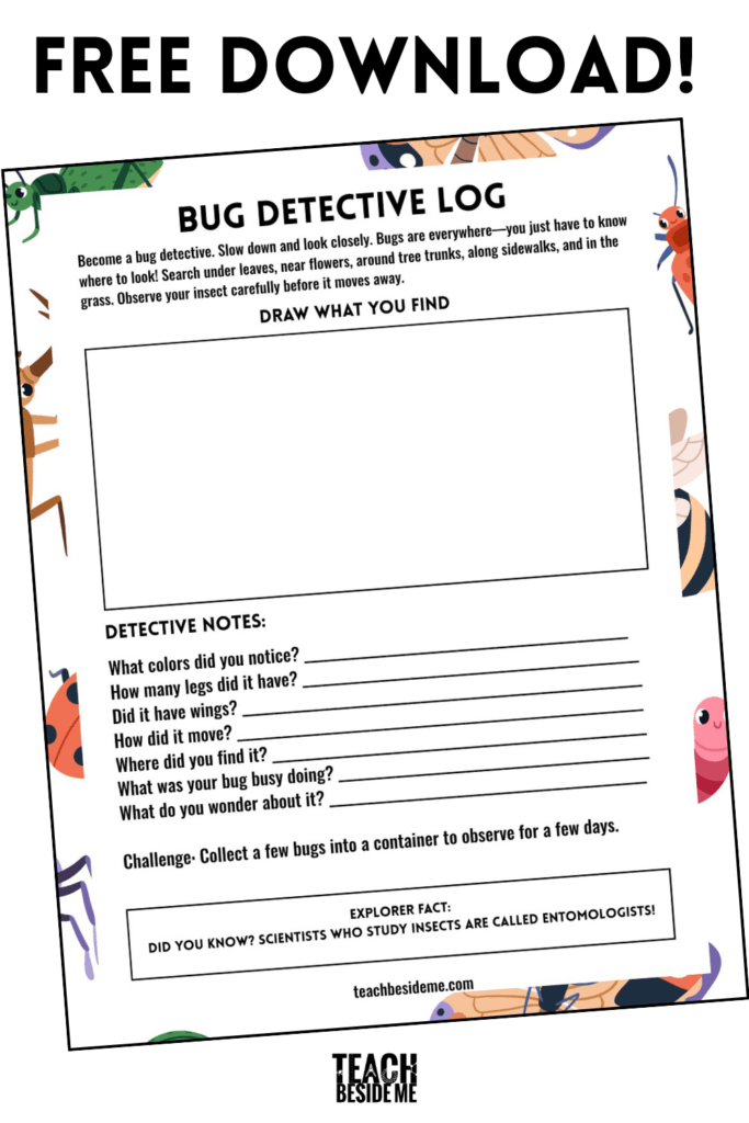 bug detective free download