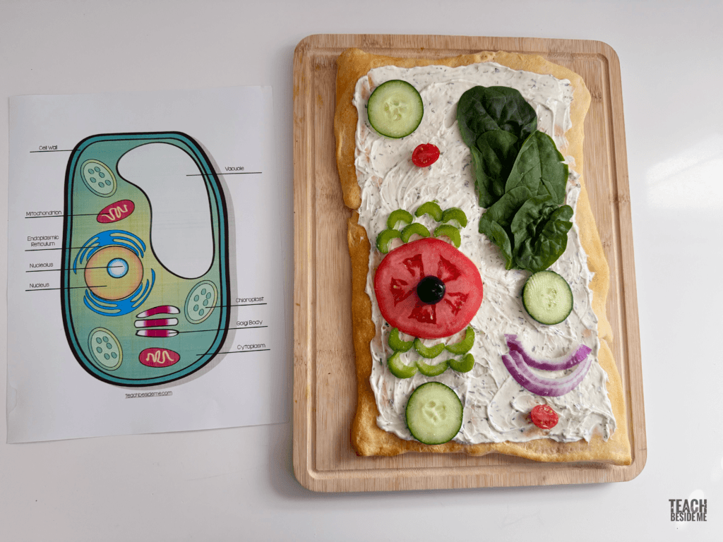 edible plant cell model pizza