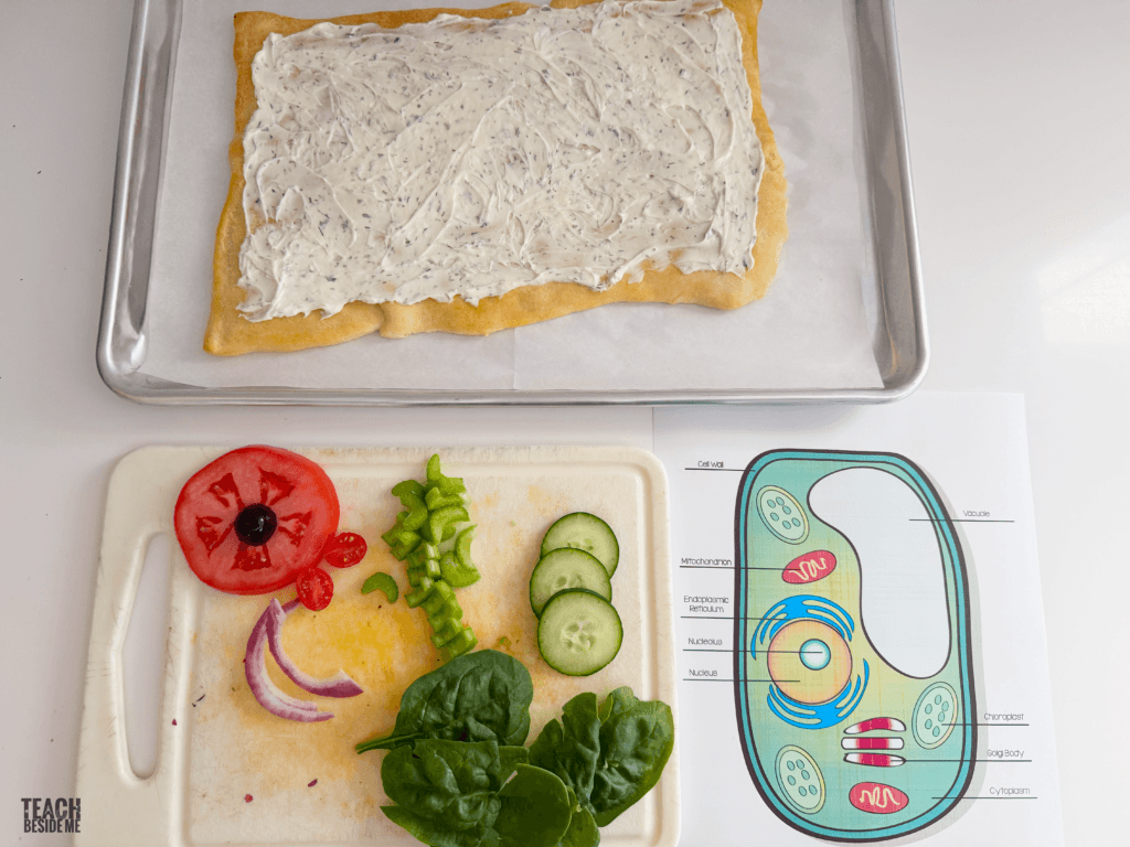 making edible animal cell model pizza
