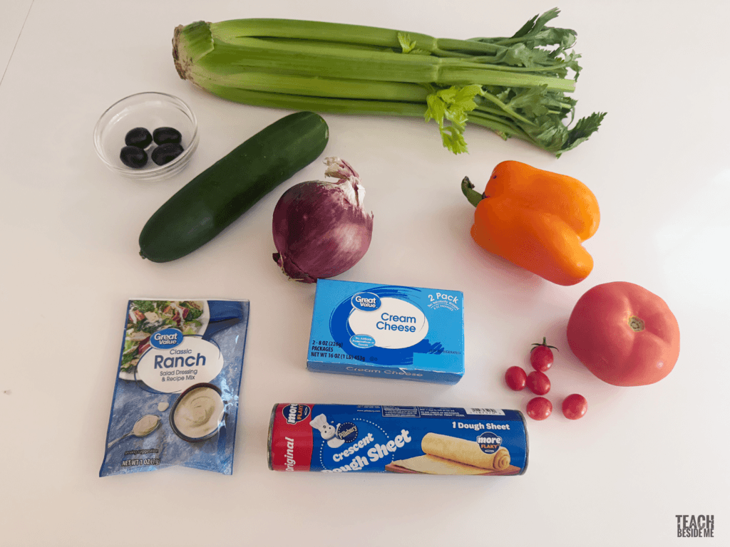 plant cell model supplies