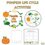 Pumpkin Life Cycle Printable Activities