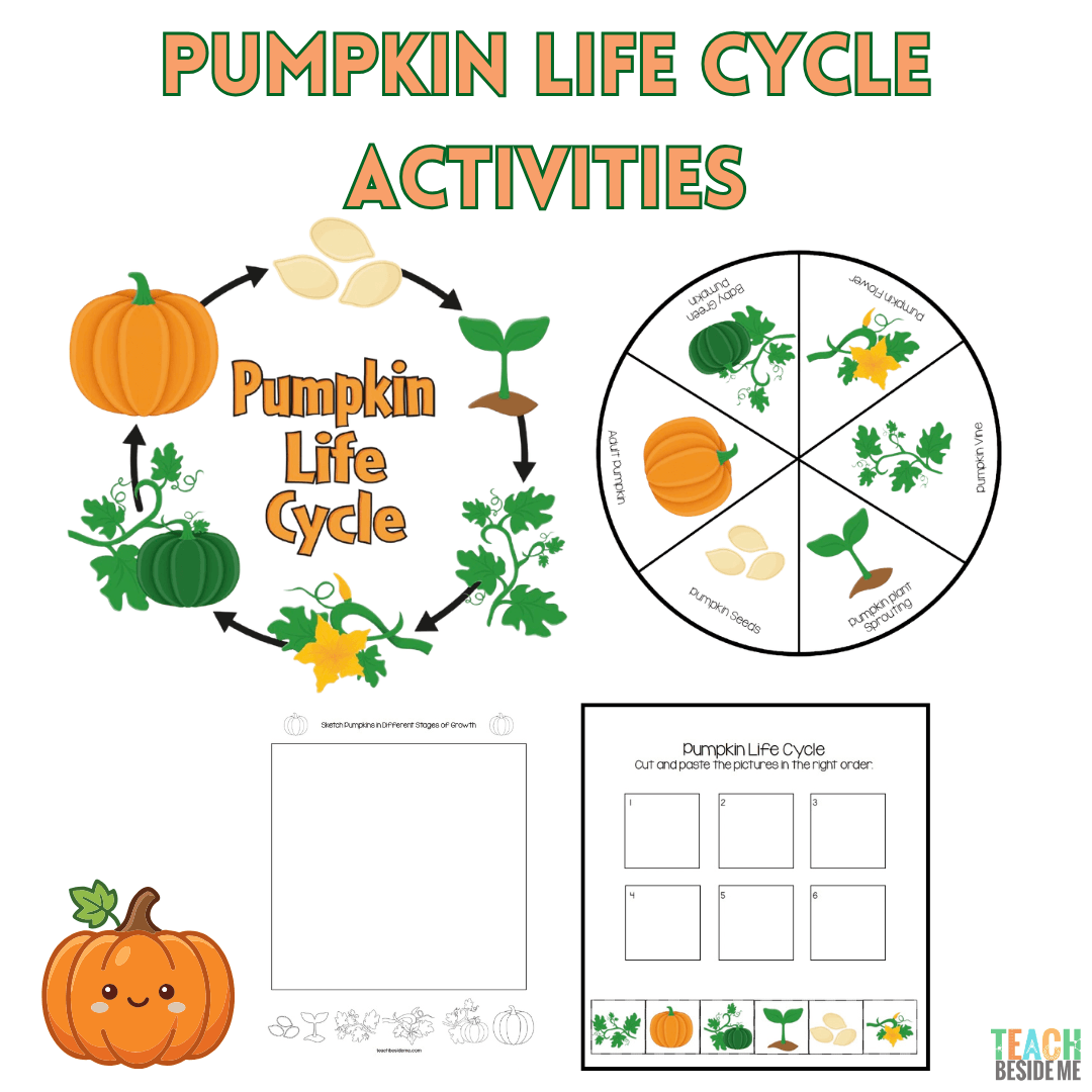 Pumpkin Life Cycle Printable Activities